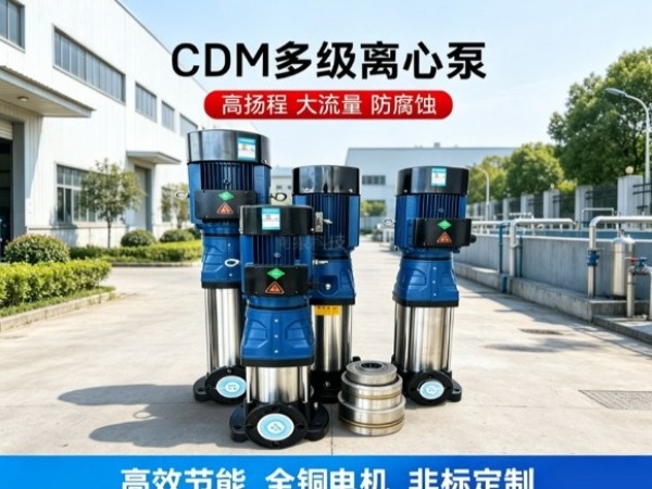 如何选择南方水泵：流量扬程匹配、性能曲线分析、电机功率与安装方式选型指南